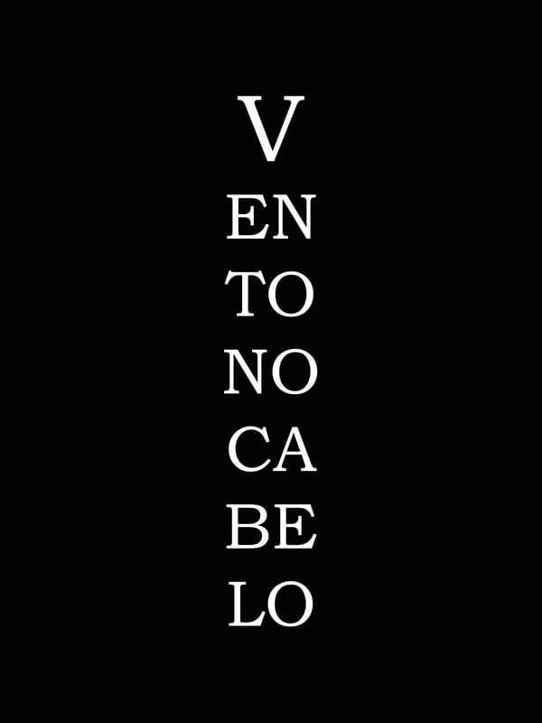 VENTO NO CABELO 4