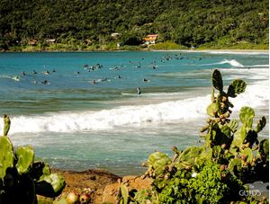 SURFISTAS NA PRAIA DO MATADEIRO