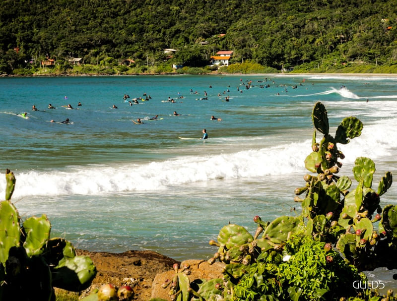 SURFISTAS NA PRAIA DO MATADEIRO