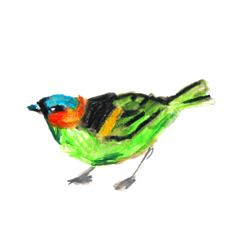 PIU 001