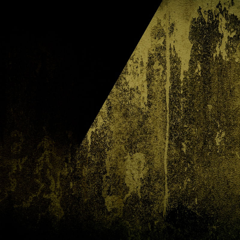 GRUNGE 2