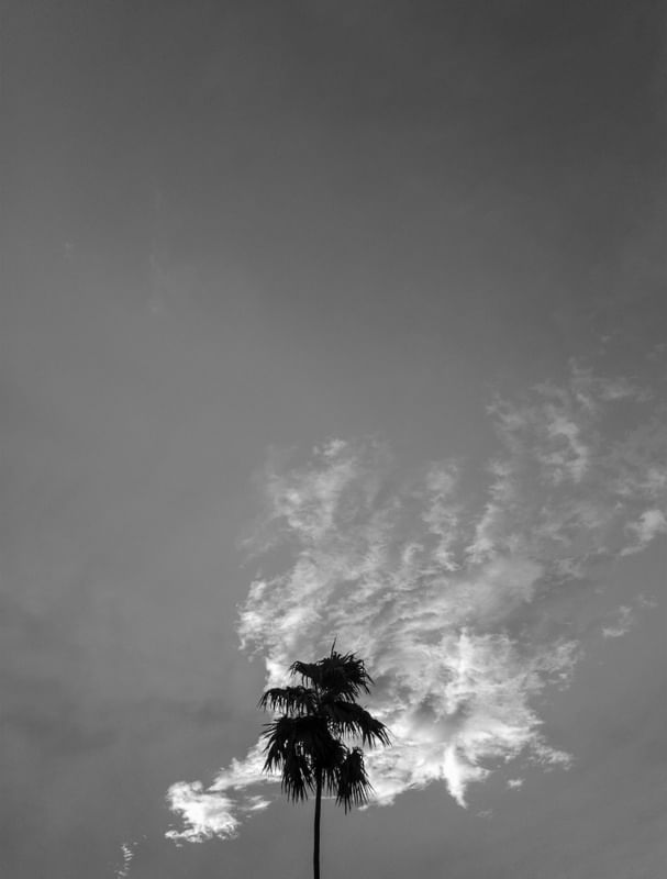 COQUEIRO EM CHAMAS PB
