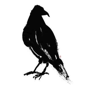 BLACK INK CORVO