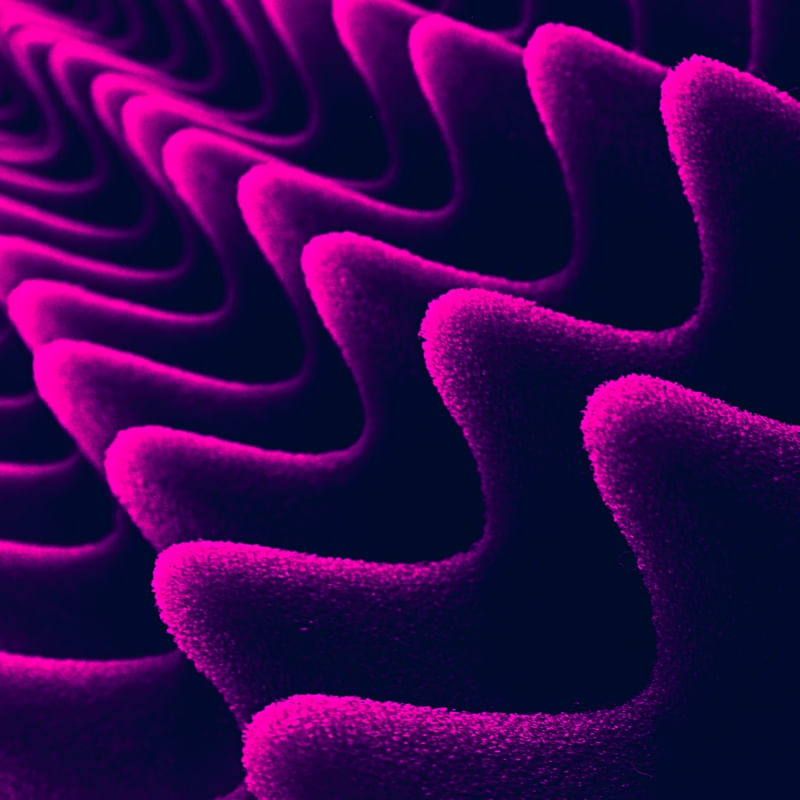 ESPUMA