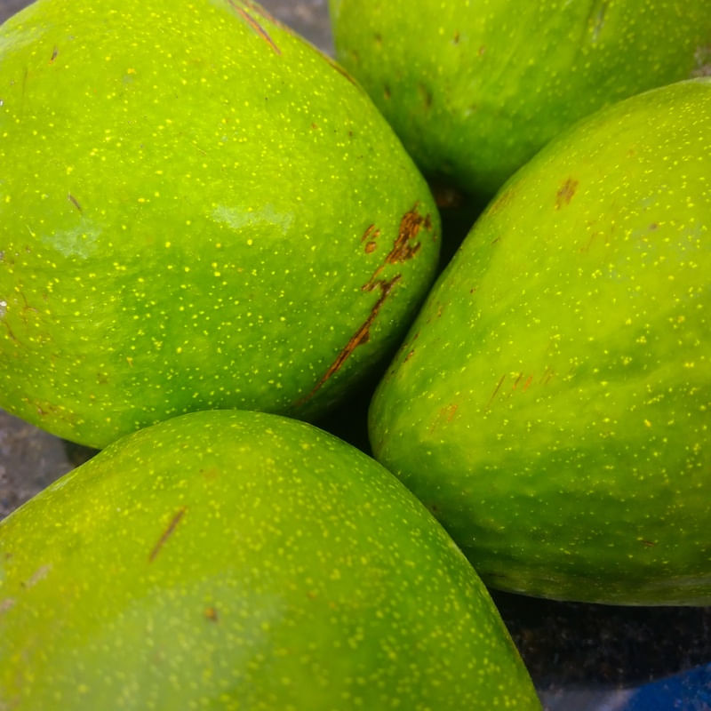 VERDE ABACATE
