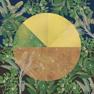 CIRCLE LEAVES 003