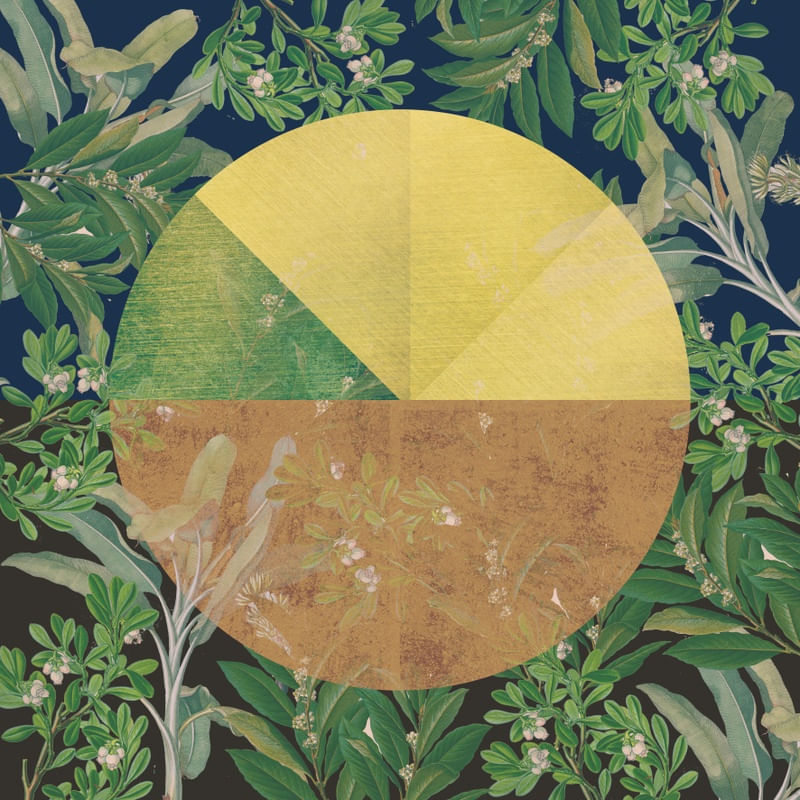 CIRCLE LEAVES 003