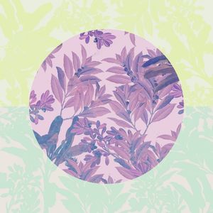 CIRCLE LEAVES 009