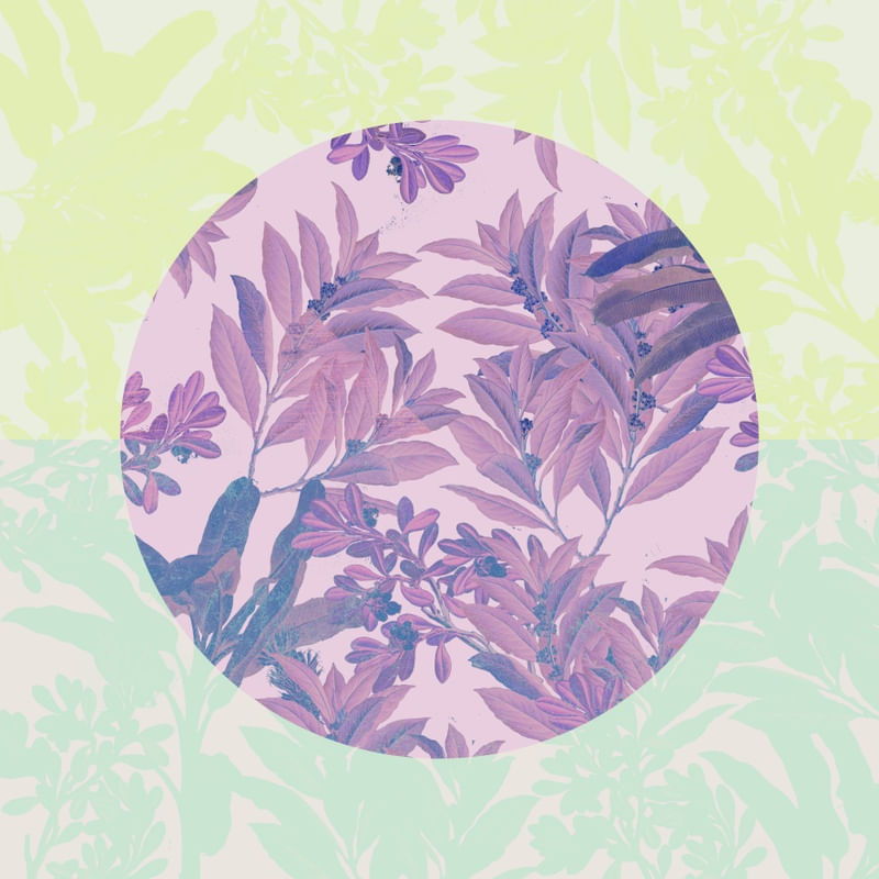 CIRCLE LEAVES 009