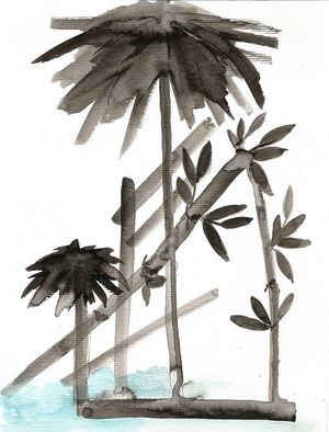 SOMBRA E AGUA