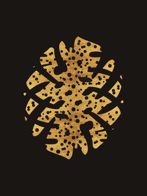 MONSTERA GOLD 004 N
