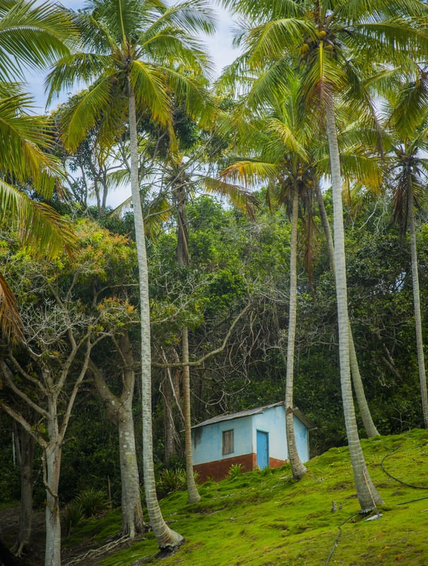 CASA ENTRE COQUEIROS