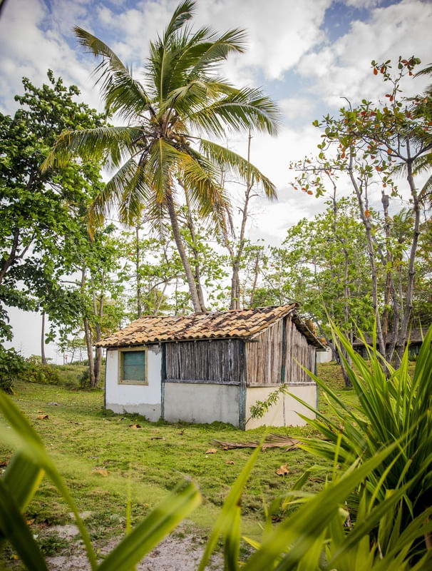 CASA DO MATO NA PRAIA