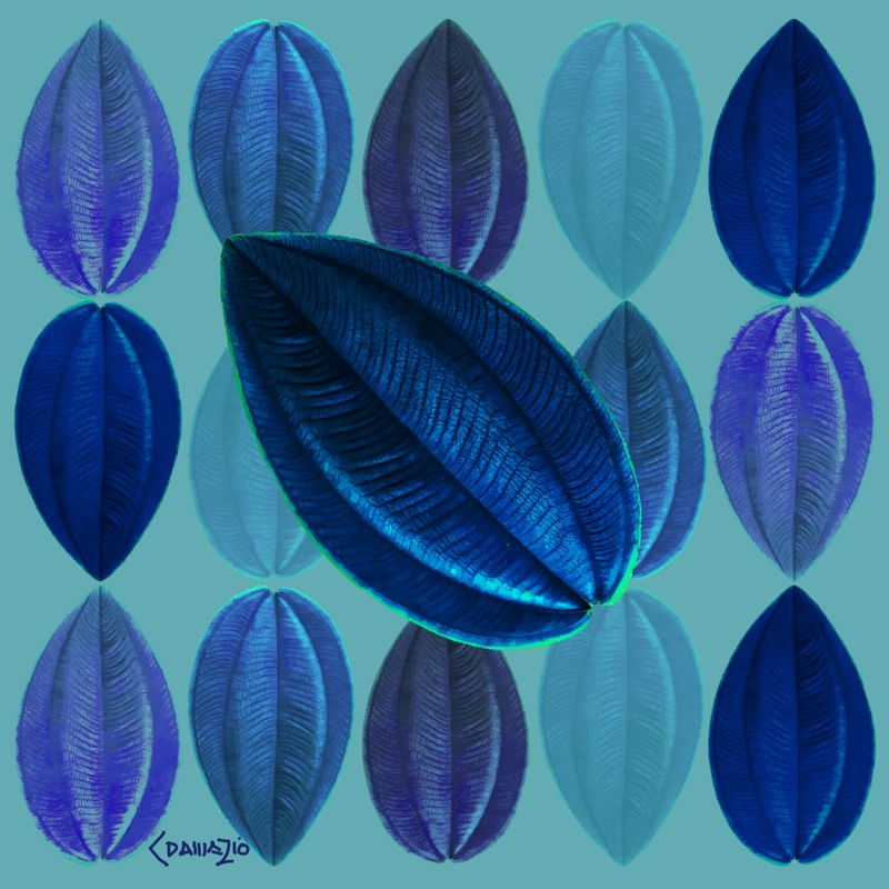 FOLHA VELUDO AZUL