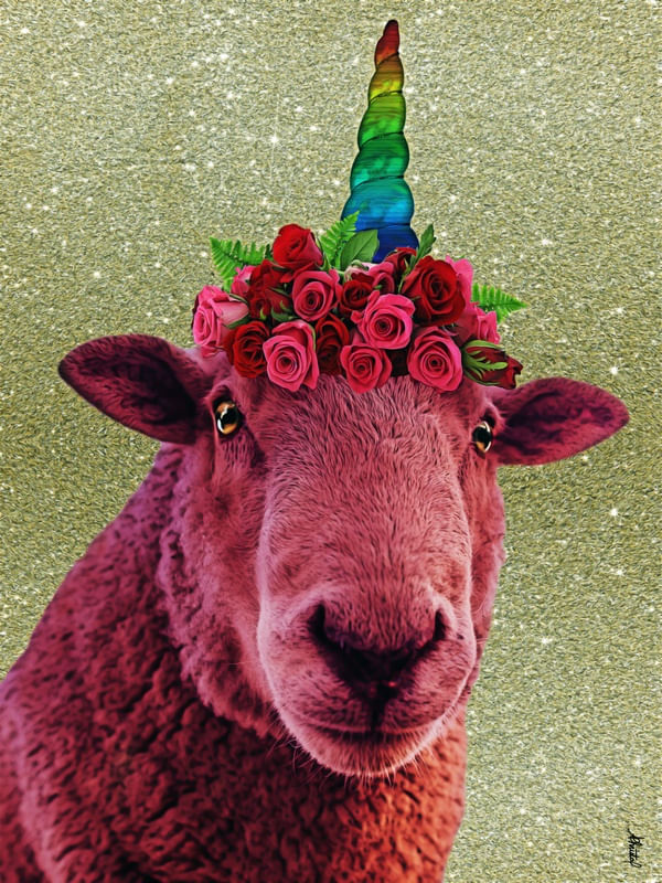 SHEEP RAINBOW
