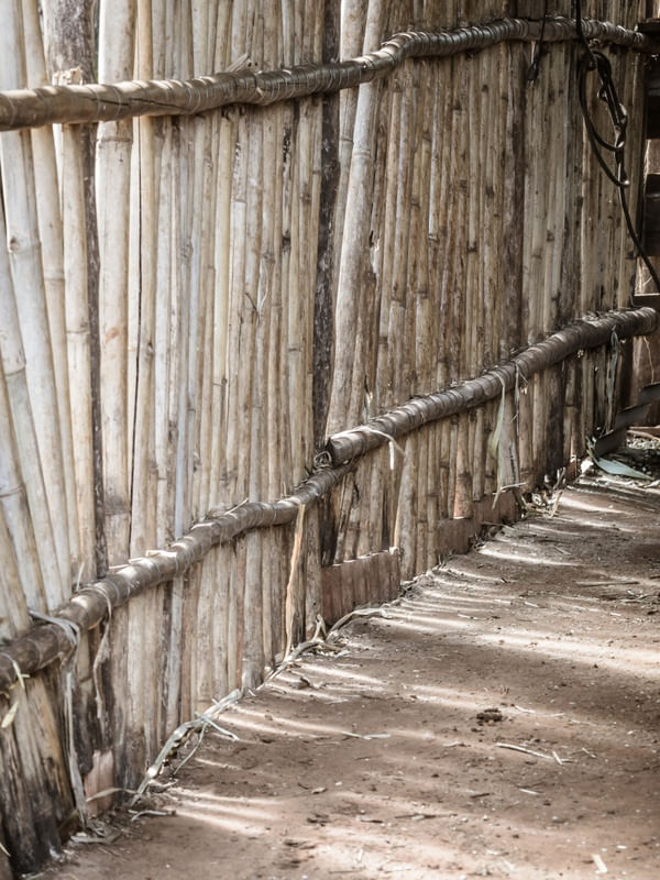 CERCA DE BAMBU_4