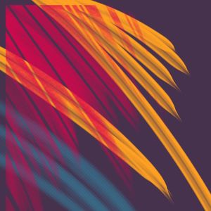 COLORS I