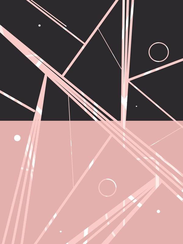 FANCY II