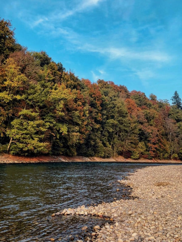AARE