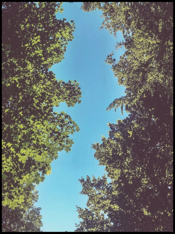 GREEN FRAME