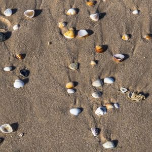 UM PEDAÇO DA PRAIA_CANOA