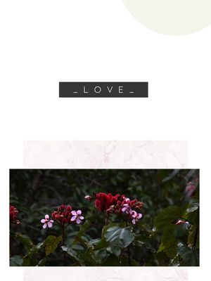LOVE NATUREZA
