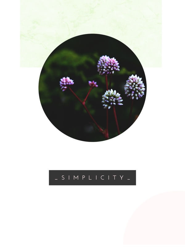 SIMPLICITY NATUREZA