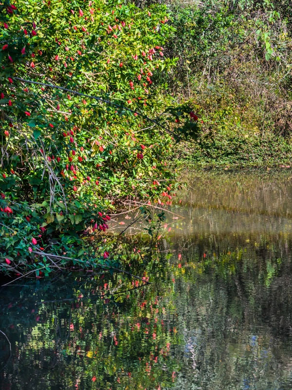 NATUREZA ABSTRATA_2