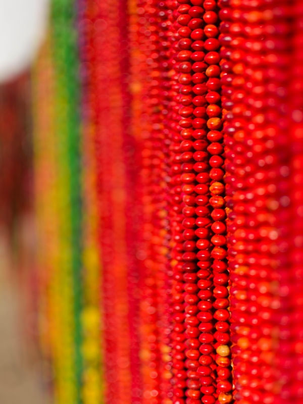 CORES DO ARTESANADO INDÍGENA - TEXTURA