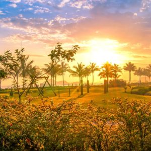 SOL E COQUEIROS