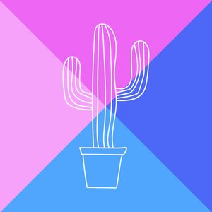 CACTUS ROSA E AZUL