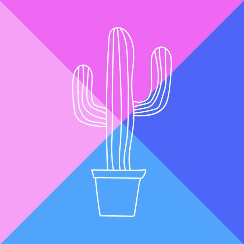 CACTUS ROSA E AZUL
