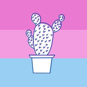 CACTUS LISTRAS