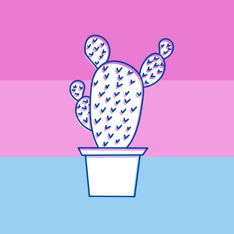 CACTUS LISTRAS