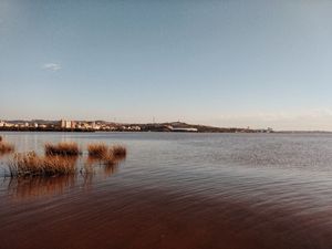 PORTO ALEGRE I