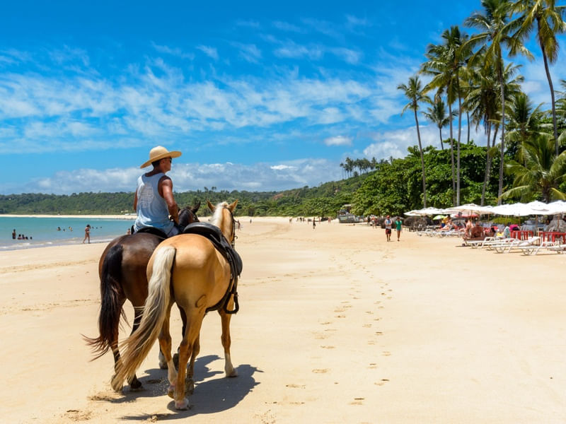 CAVALEIRO PRAIANO