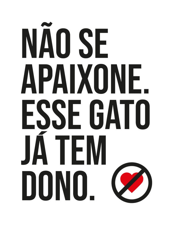 GATO COM DONO