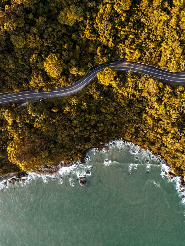 OS CAMINHOS DO MAR V