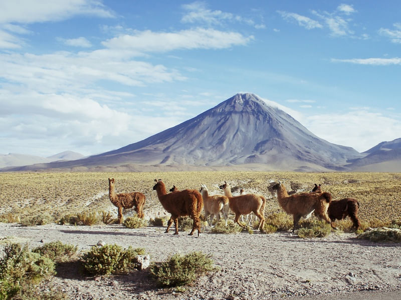 PASO DE RAMA