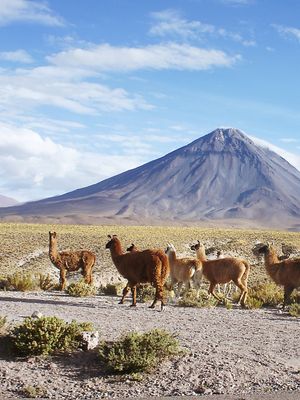 EL PASO DE RAMA
