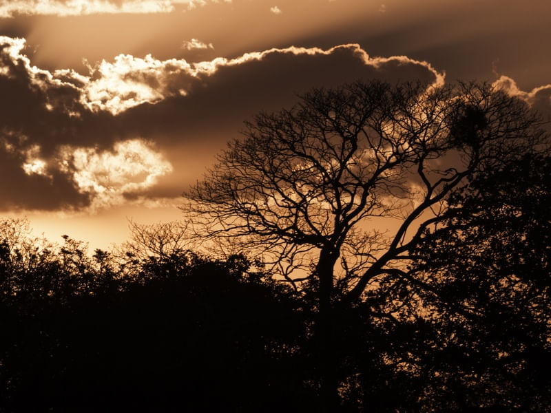 PÔR DO SOL NO PANTANAL