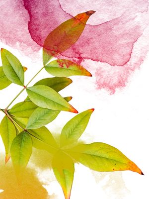 FLORAL VERDFLQ