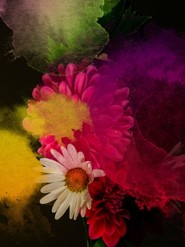 FLORAL MINITSD