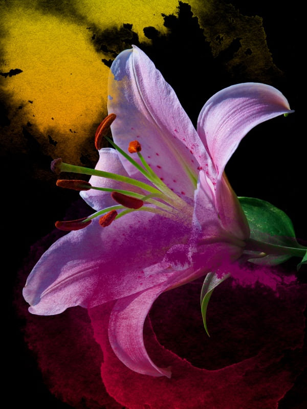 FLORAL DIST