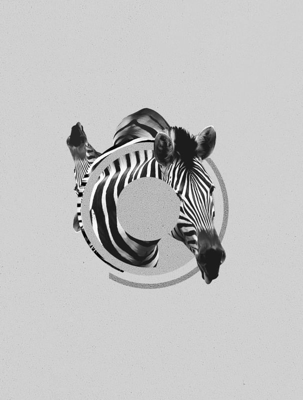 ZEBRA SKIN