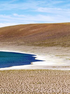 LAGUNA MINIQUES B