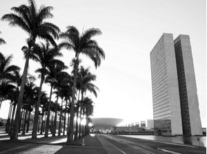 BRASILIA TROPICAL