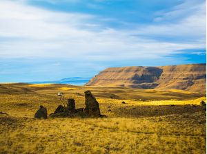 DESERTO EL CALAFATE2