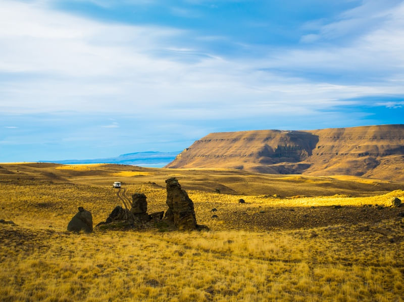 DESERTO EL CALAFATE2