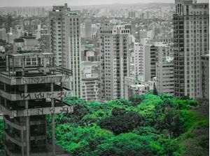 VERDE NO PB